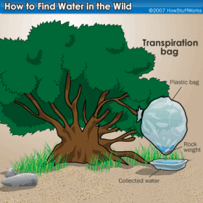 Как добыть воду